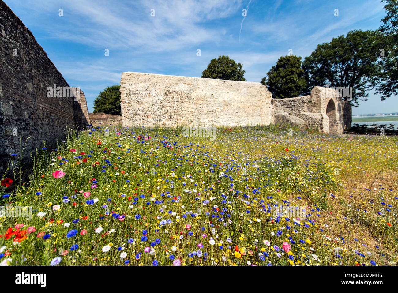 Ruinen von la Porte Guillaume Saint Valery Sur Somme-Picardie-Nord-Frankreich-Europa Stockfoto
