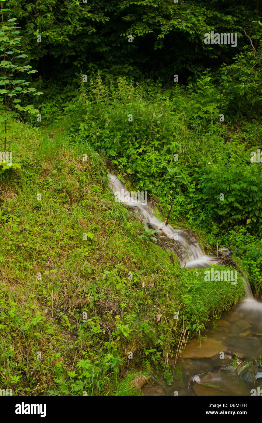 Bach und Wasserfall im Wald Stockfoto
