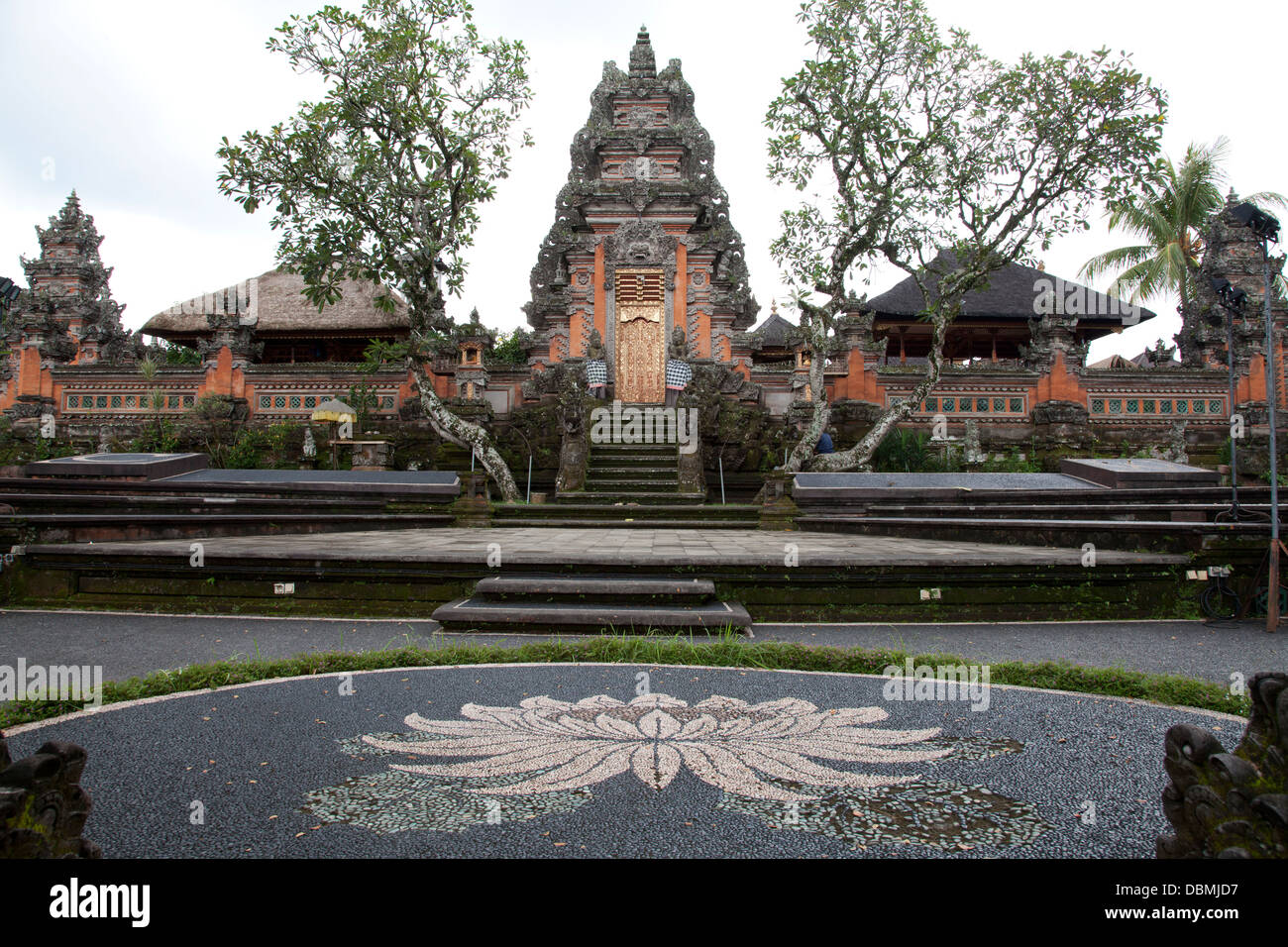 Pura Saraswati Tempel, Lotus Garden, Ubud, Bali, Indonesien Stockfoto