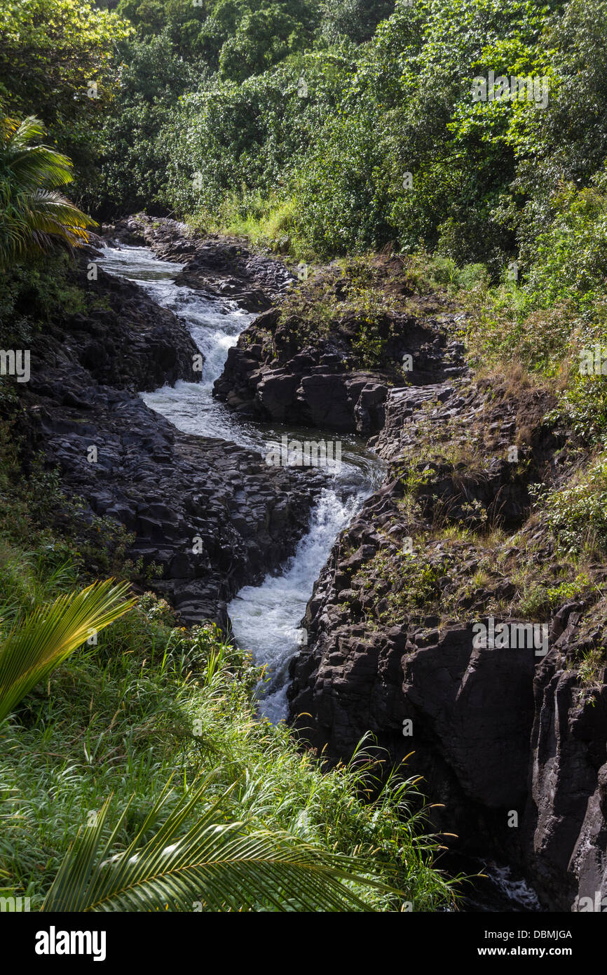 "Sieben sacred Pools" oder Ohe'o Gulch auf der "Road to Hana" auf der Insel Maui in Hawaii. Stockfoto