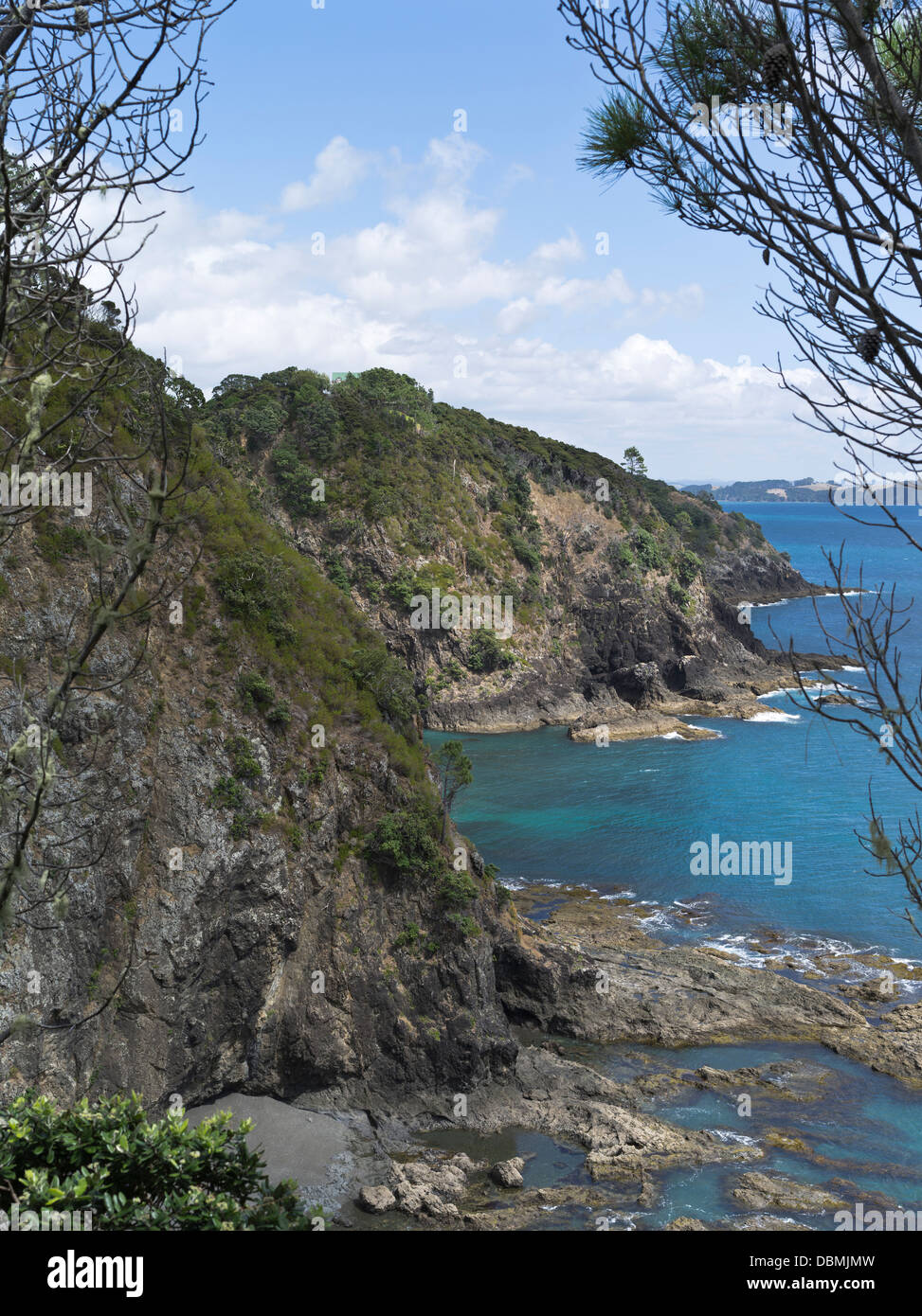 dh Roberton Insel Bucht der Inseln Neuseeland Motuarohia Insel Klippen Felsenküste Stockfoto