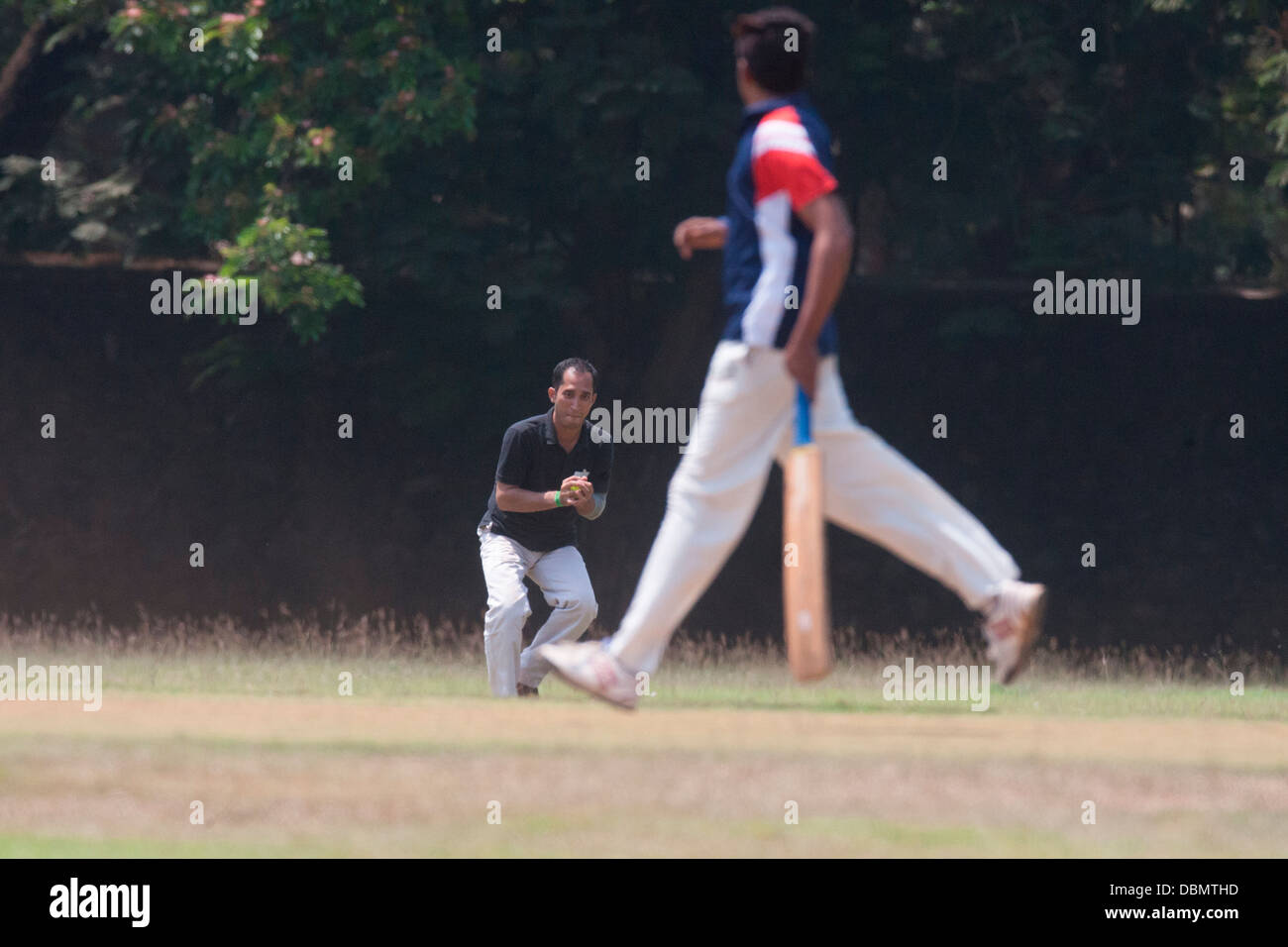 Cricket ist eine Religion in Indien, und Sie können Menschen spielen Cricket fast überall sehen! Hier ist ein Schlagmann erwischt heraus. Stockfoto