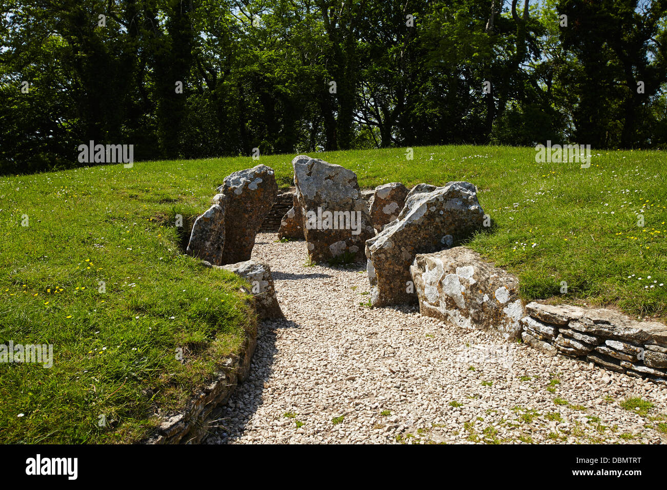 Nympsfield Long Barrow in der Nähe von Stroud, Gloucestershire, England, UK Stockfoto