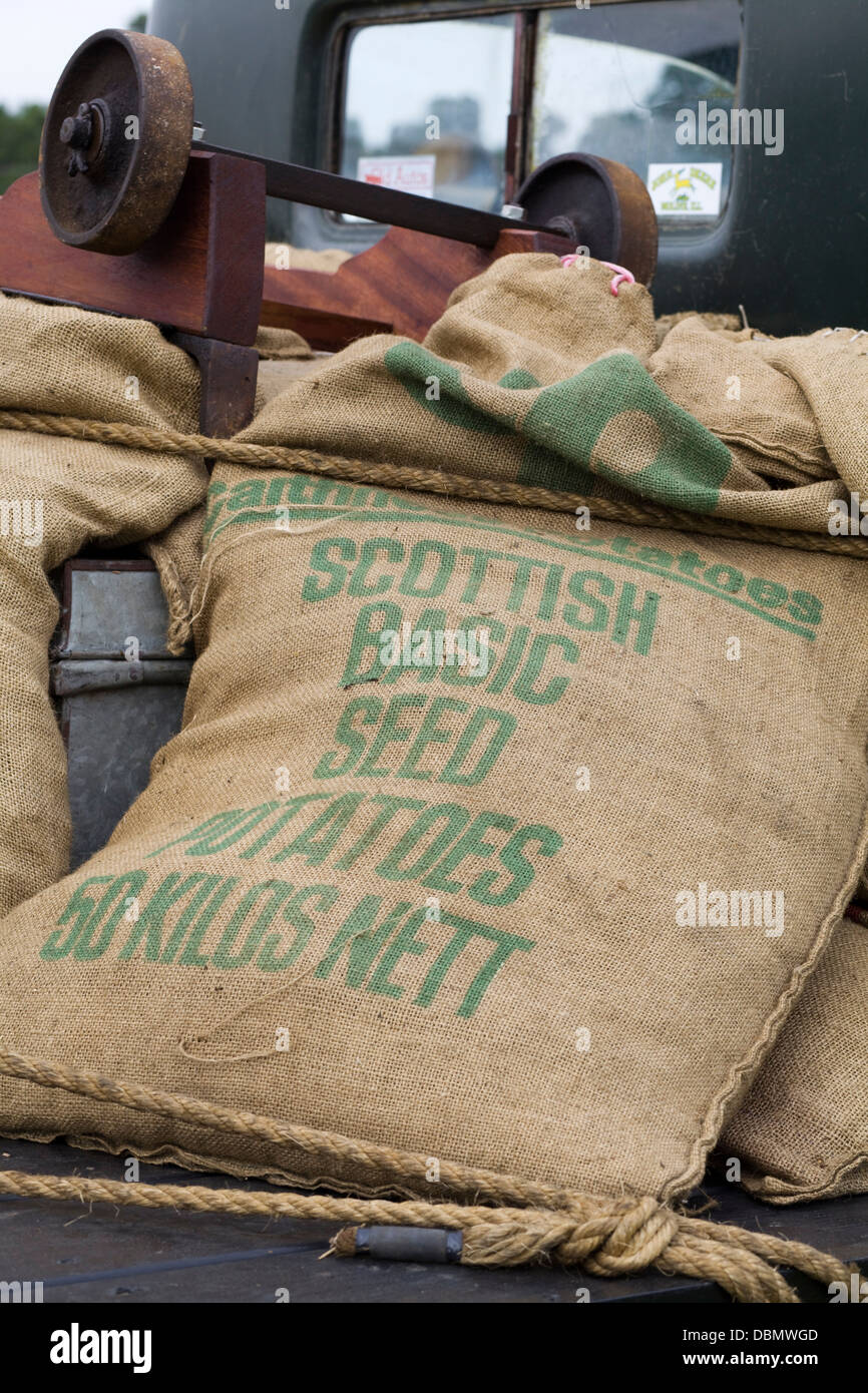 Hessischen Sack des schottischen grundlegende Pflanzkartoffeln auf der Rückseite eines LKW Stockfoto