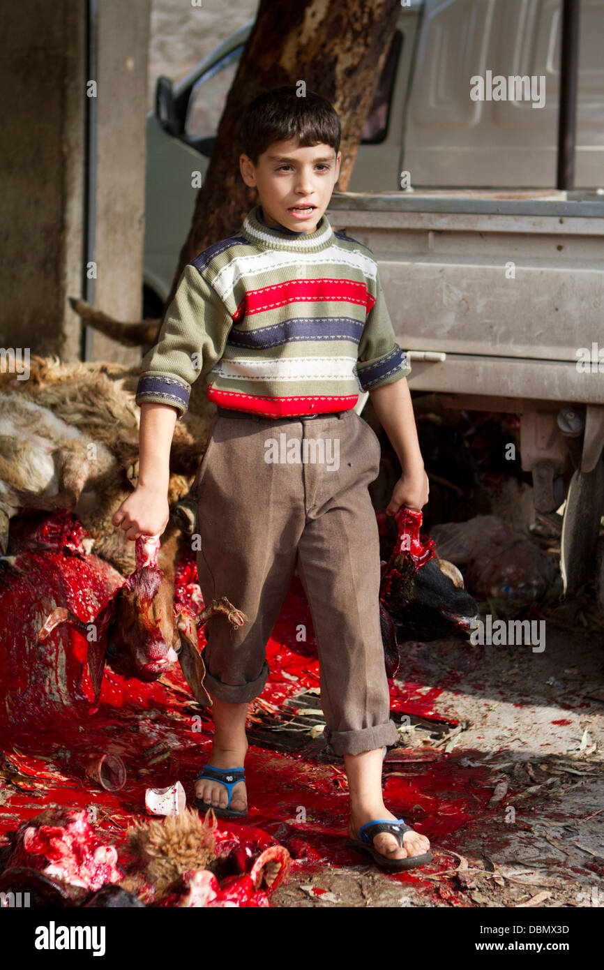 Aleppo, Syrien: Ein Junge steht im Blut mit einer Ziege Kopf in der hand. Stockfoto