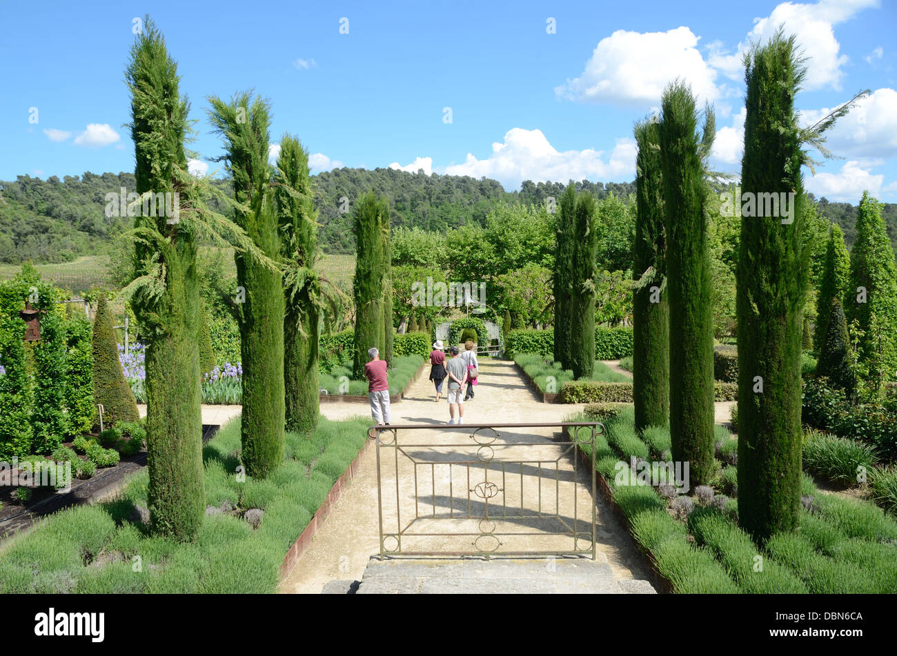 Linien, Reihen oder Allee von Cypressebäumen & Besucher oder Touristen im Garten am Château Val Joannis Pertuis Luberon Provence Frankreich Stockfoto