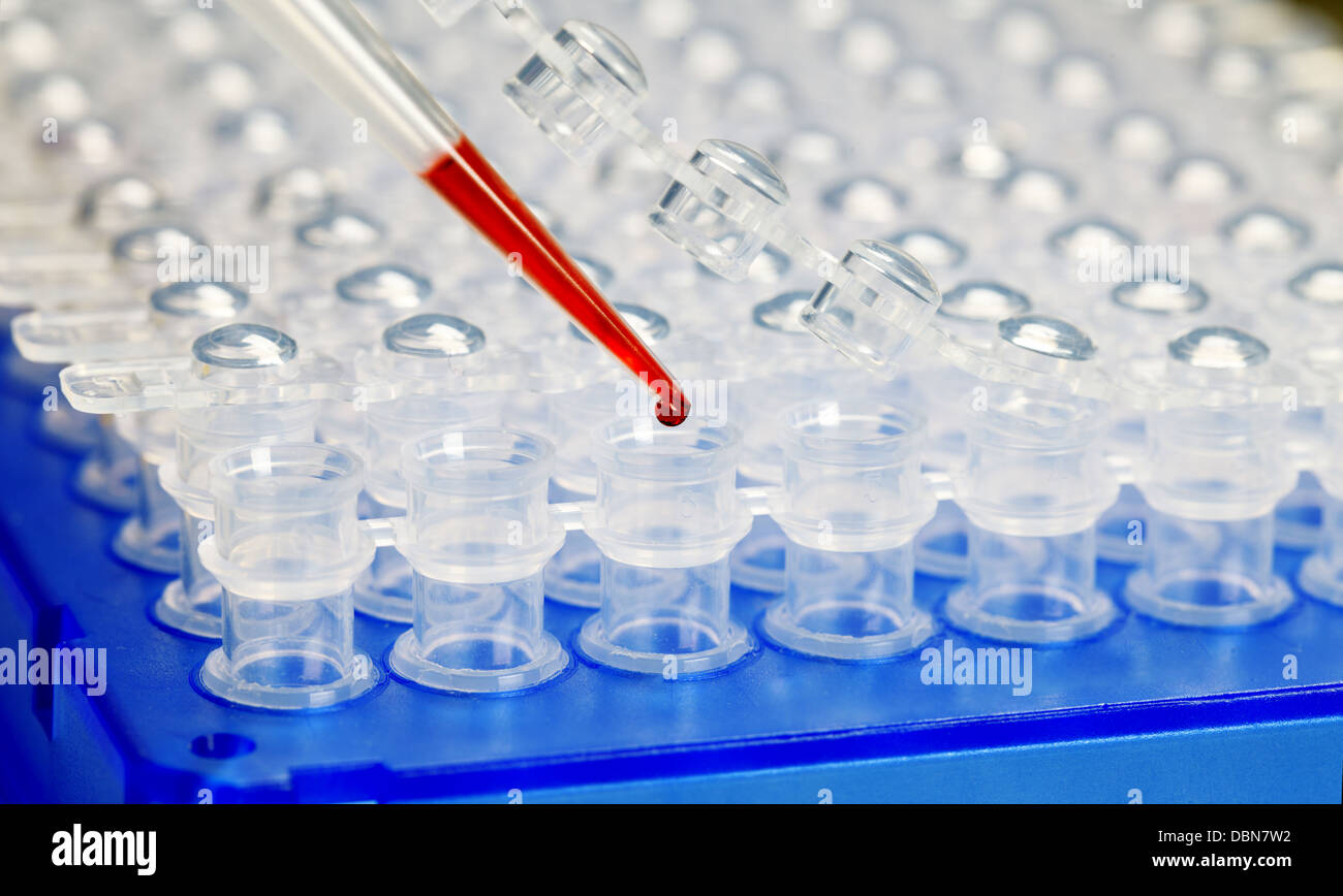 Kunststoff-Rohre und pipette Stockfoto