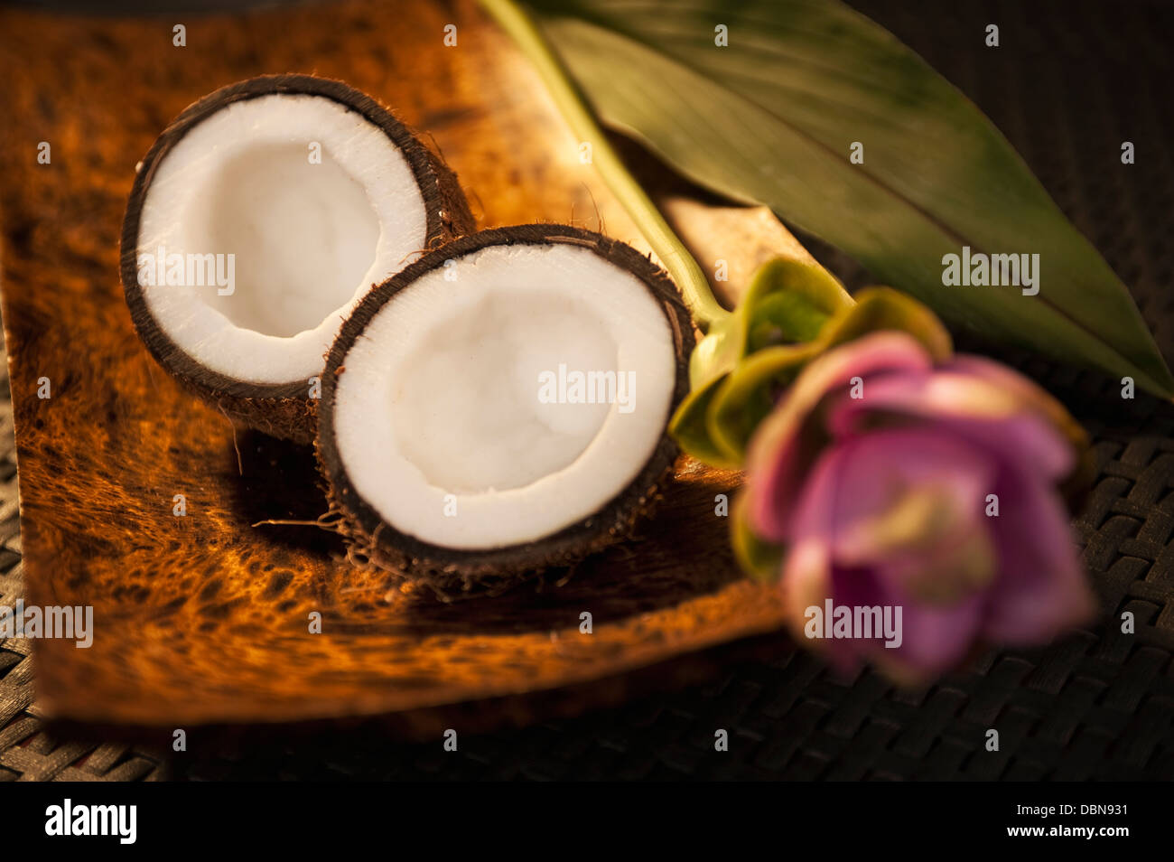 Kokosnuss und Blume Stockfoto