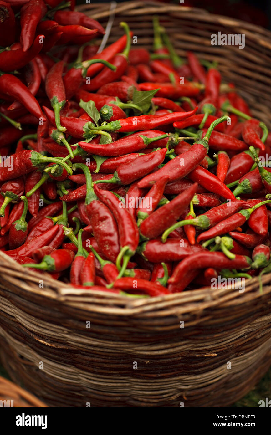 Rote Chilis In Korb, Baranja, Kroatien, Europa Stockfoto