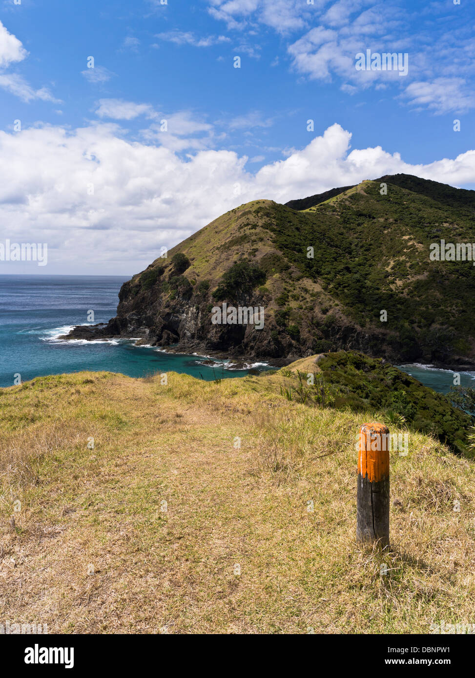 dh CAPE REINGA Neuseeland Aupouri Peninsula Fußweg Landschaft Küste Seacliffs Landzunge Stockfoto