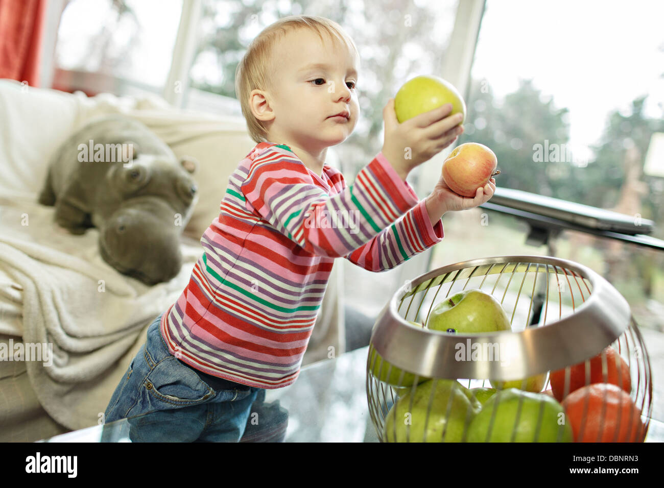 Kleinkind Jungen spielen mit Früchten, Osijek, Kroatien, Europa Stockfoto