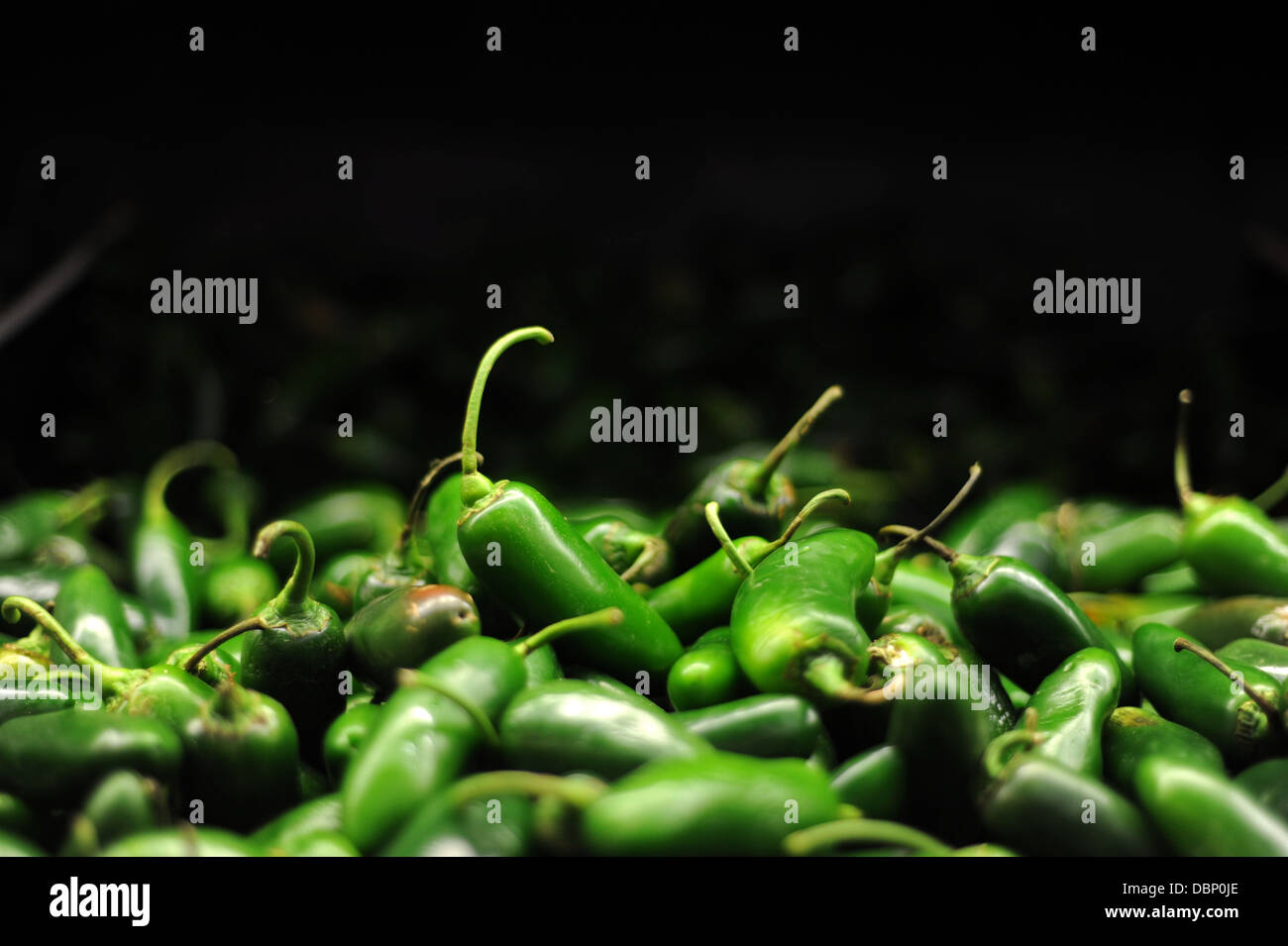 Grüne Chilischoten (Chile Serrano, Sierra Chili) verkauft in Walmart in Tapachula, Chiapas, Mexiko. Stockfoto