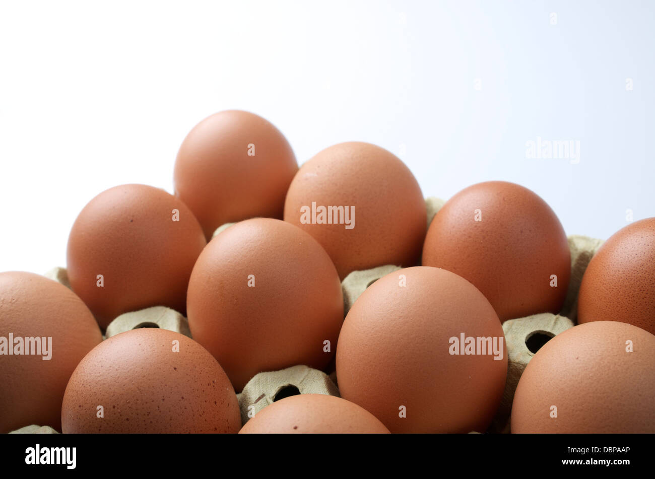 Schliessen Sie Ein Dutzend Eier Mit Weissem Hintergrund Stockfotografie Alamy
