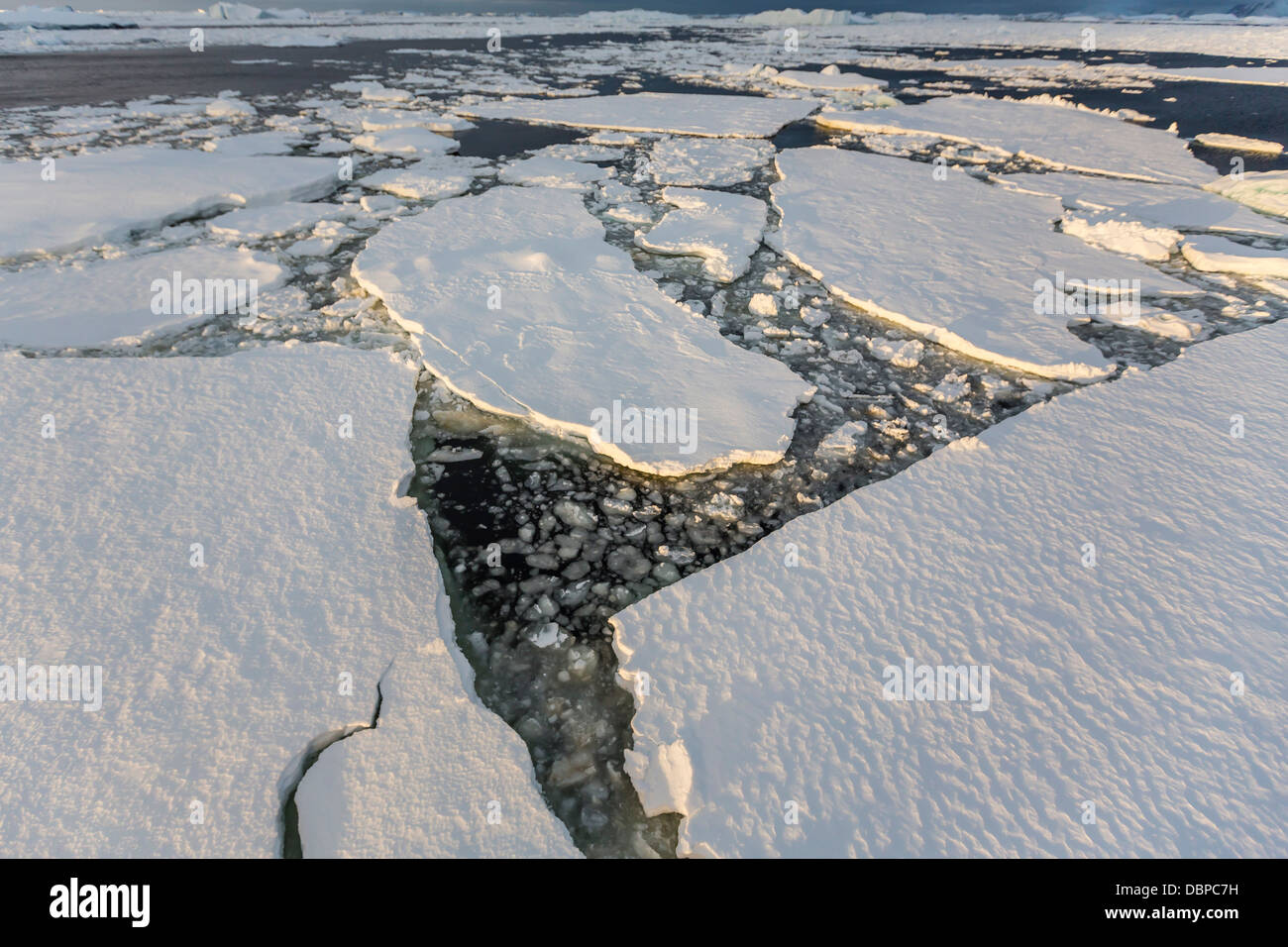 Ersten Jahr Meereis und frech Eis in der Nähe von Petermann Island, Westseite der antarktischen Halbinsel, Südpolarmeer, Polarregionen Stockfoto