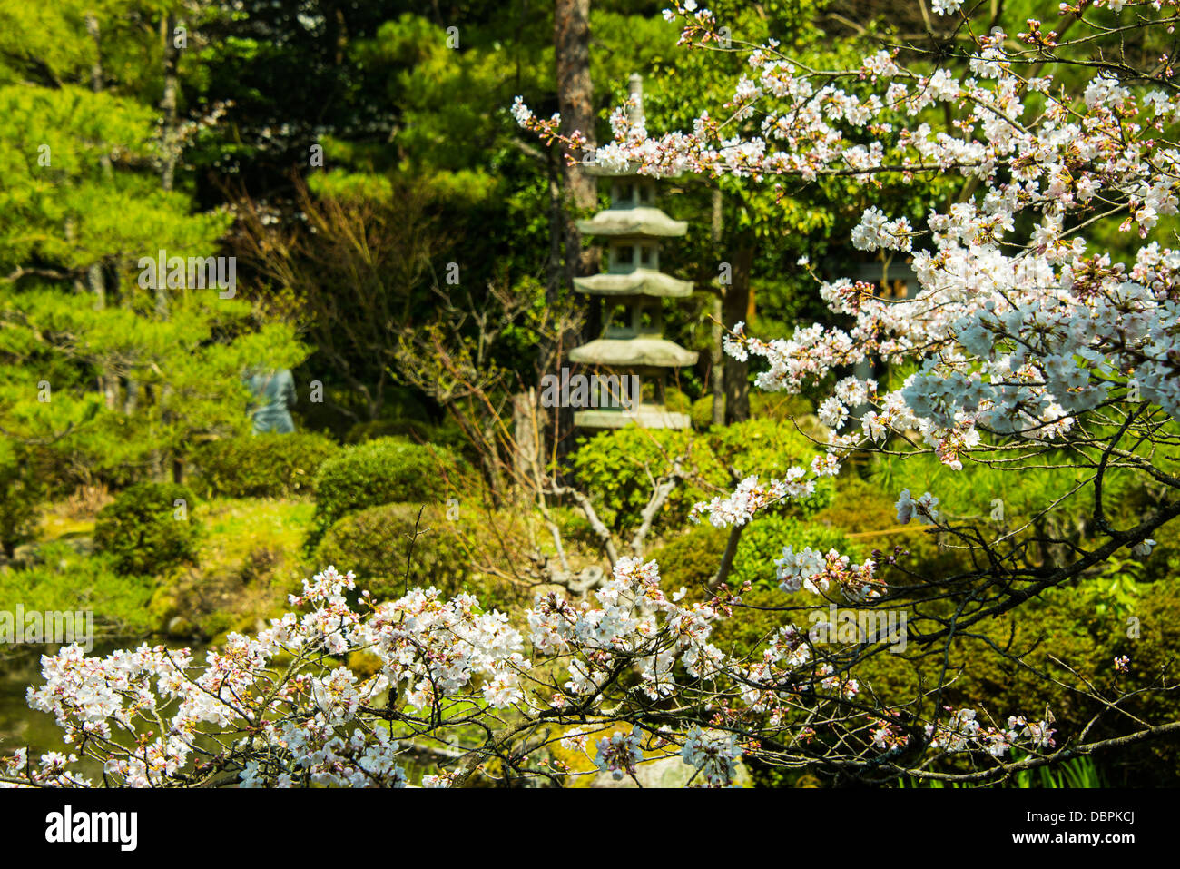 Okazaki-Park in der Heian Jingu Schrein, Kyoto, Japan, Asien Stockfoto