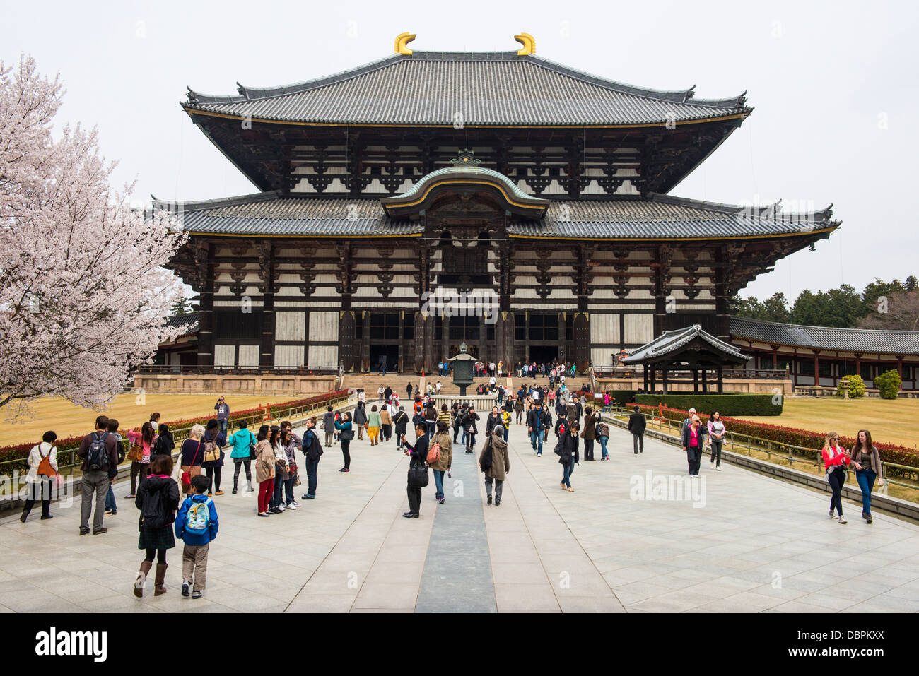 Todaiji Tempel, UNESCO-Weltkulturerbe, Nara, Kansai, Japan, Asien Stockfoto