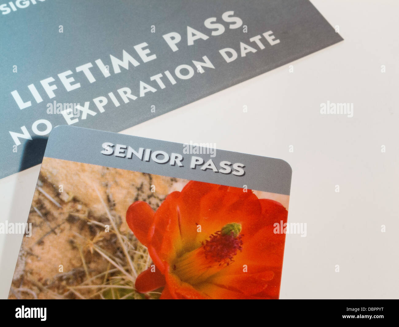 Der National Parks and Federal Recreational Lands-Senior-Access-Pass, USA Stockfoto