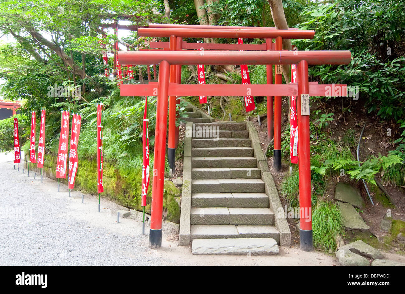 Roter tori Fotos und Bildmaterial in hoher Auflösung Alamy