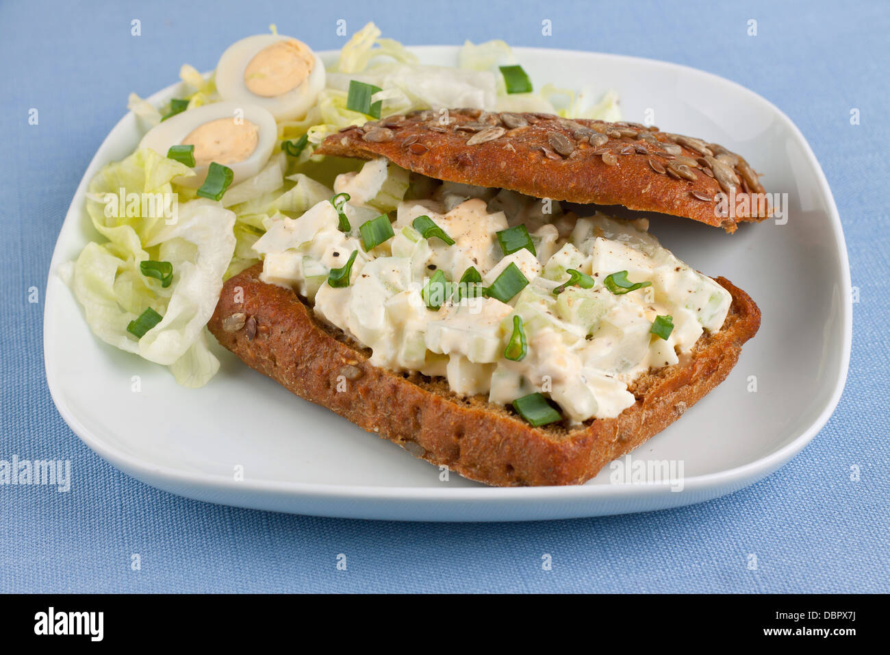 Sandwich mit Eiersalat auf quadratische weiße Teller Stockfoto