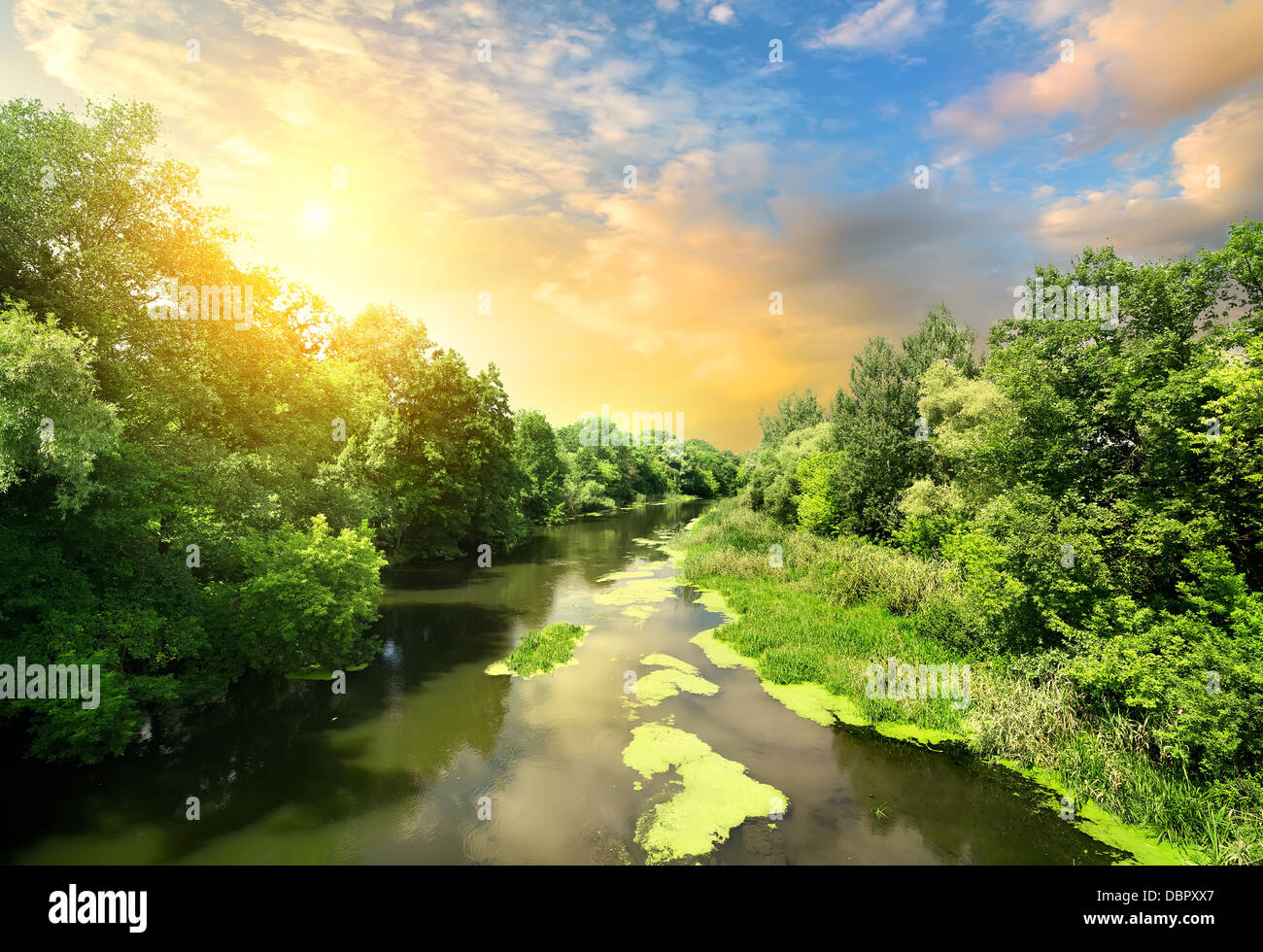 Sonnenuntergang am ruhigen Fluss im Wald Stockfoto