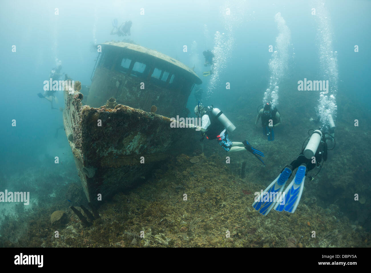 Taucher, die rings um das Wrack der Mr Bud, einem ehemaligen Garnelenfischerei Boot versenkt vor der Insel Roatan, Honduras Stockfoto