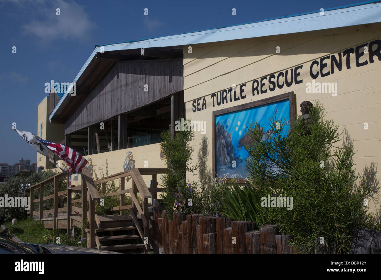 Sea Turtle Rescue Center Stockfoto