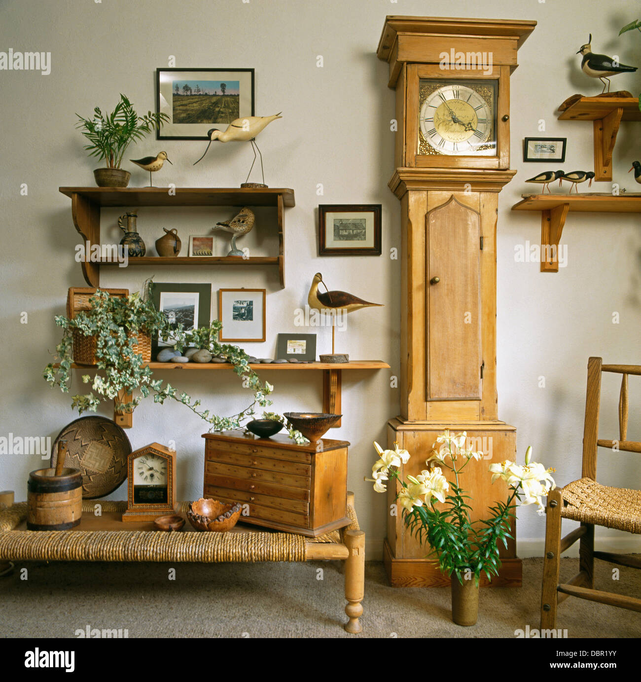 Sammlung von Modell Vögel auf Holzregalen neben Kiefer lang-Fall Uhr im  Wohnzimmer mit Rush sitzen Hocker Stockfotografie - Alamy