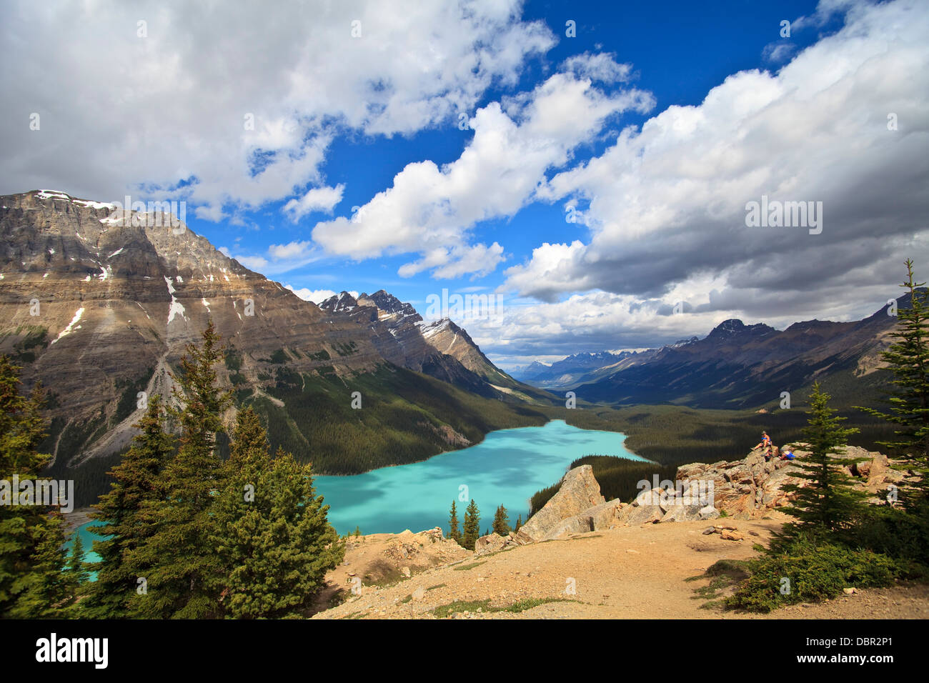 Peyto Lake am Bow Summit in Banff, Alberta Stockfoto