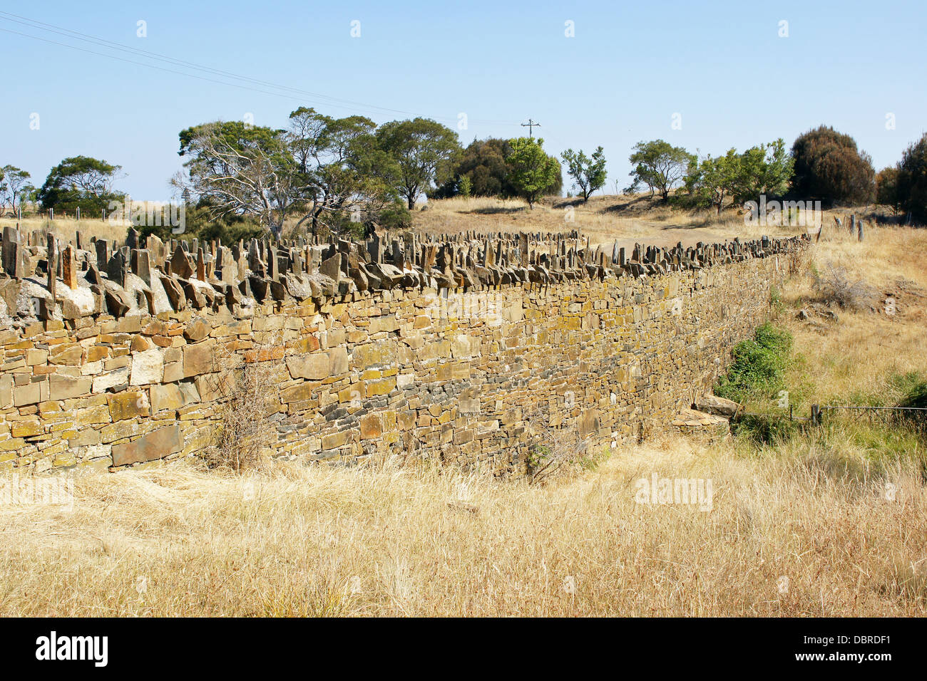 Spiky Bridge, Sträfling Erbe auf Tasman Highway in der Nähe von Swansea, Tasmanien, Australien Stockfoto