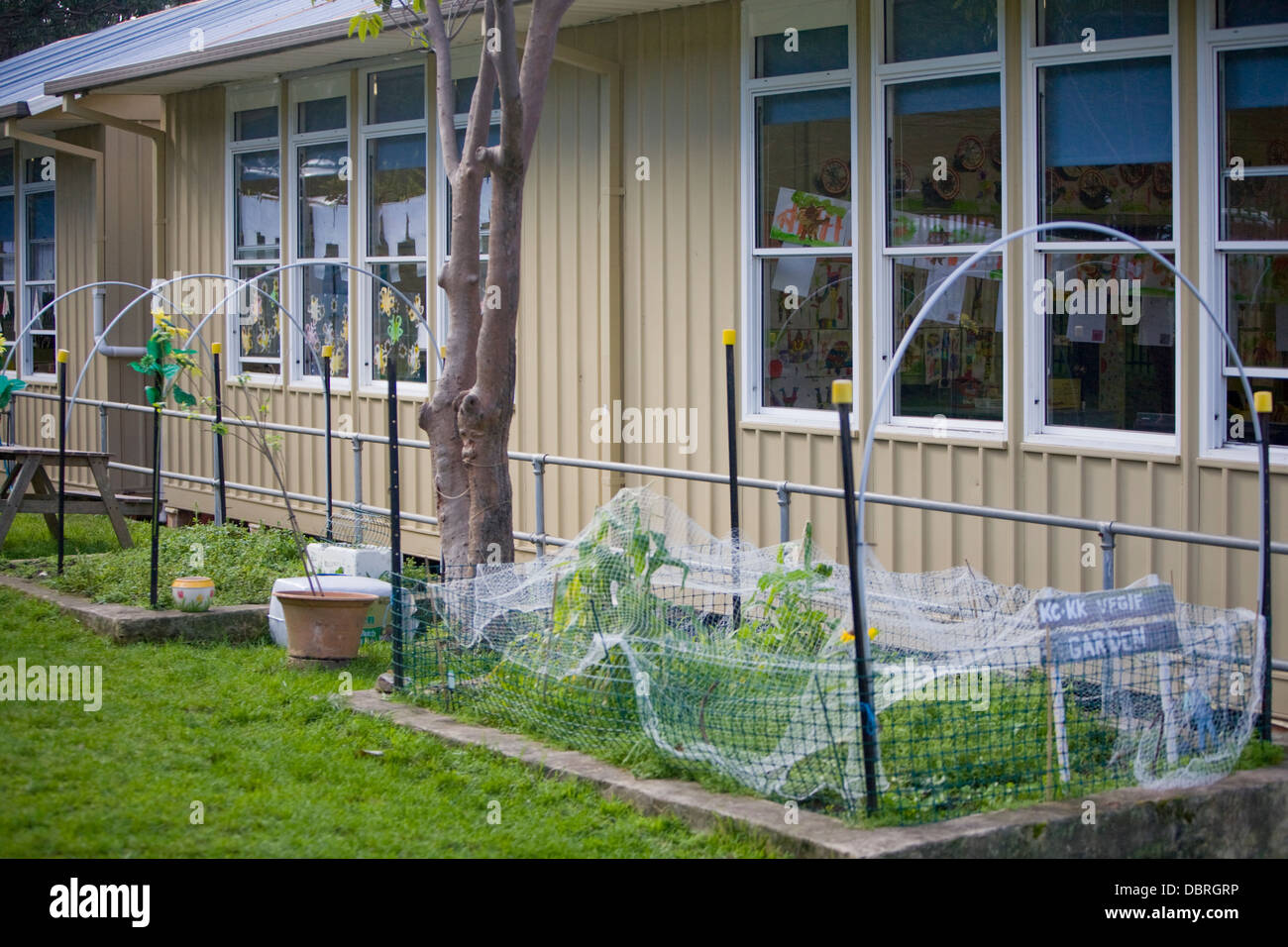 australische öffentliche Grundschule Gemüsegarten, Sydney, Australien Stockfoto