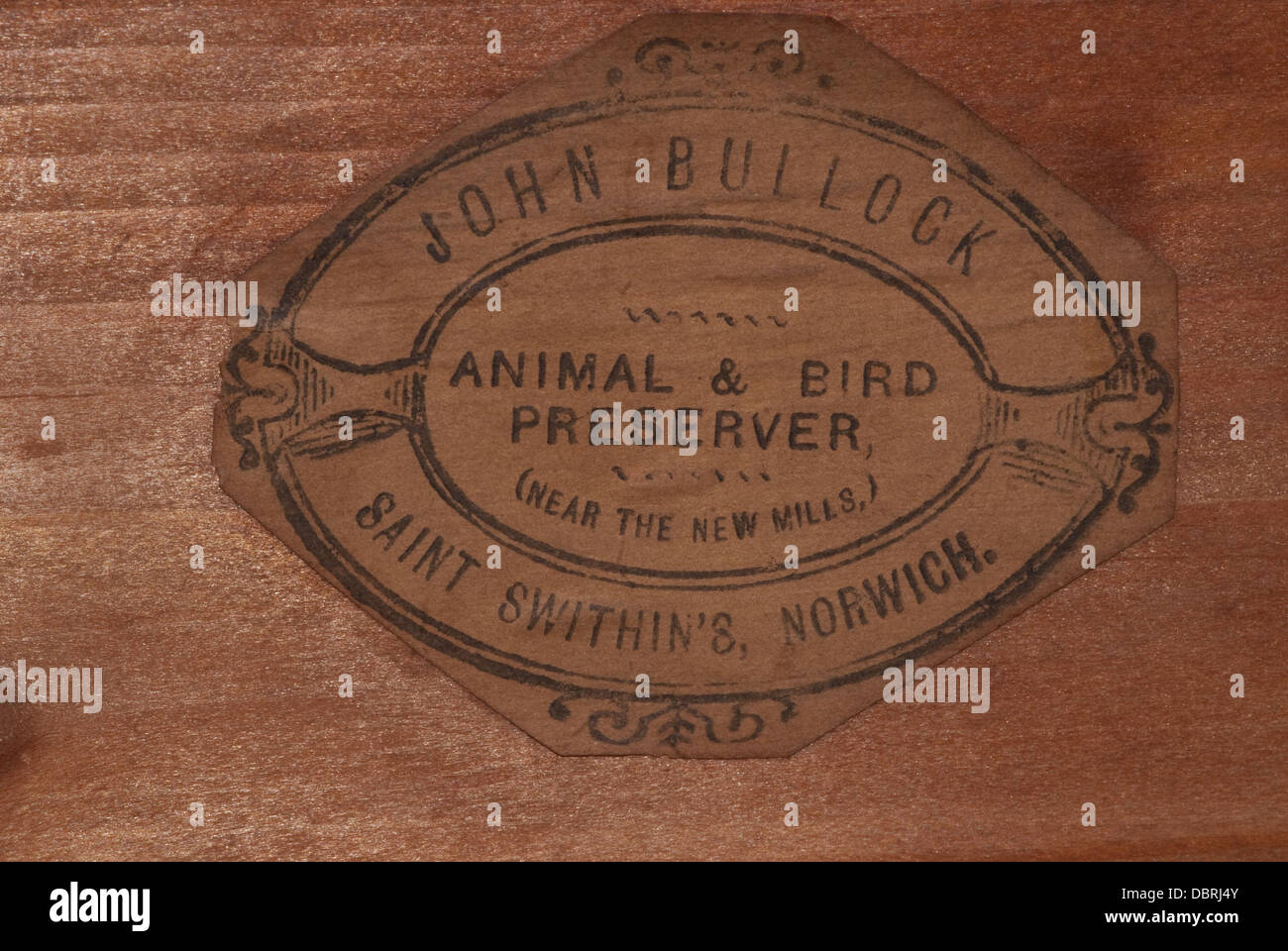 Trade-Label von John Bullock von Norwich UK am Fall der Tierpräparation Stockfoto