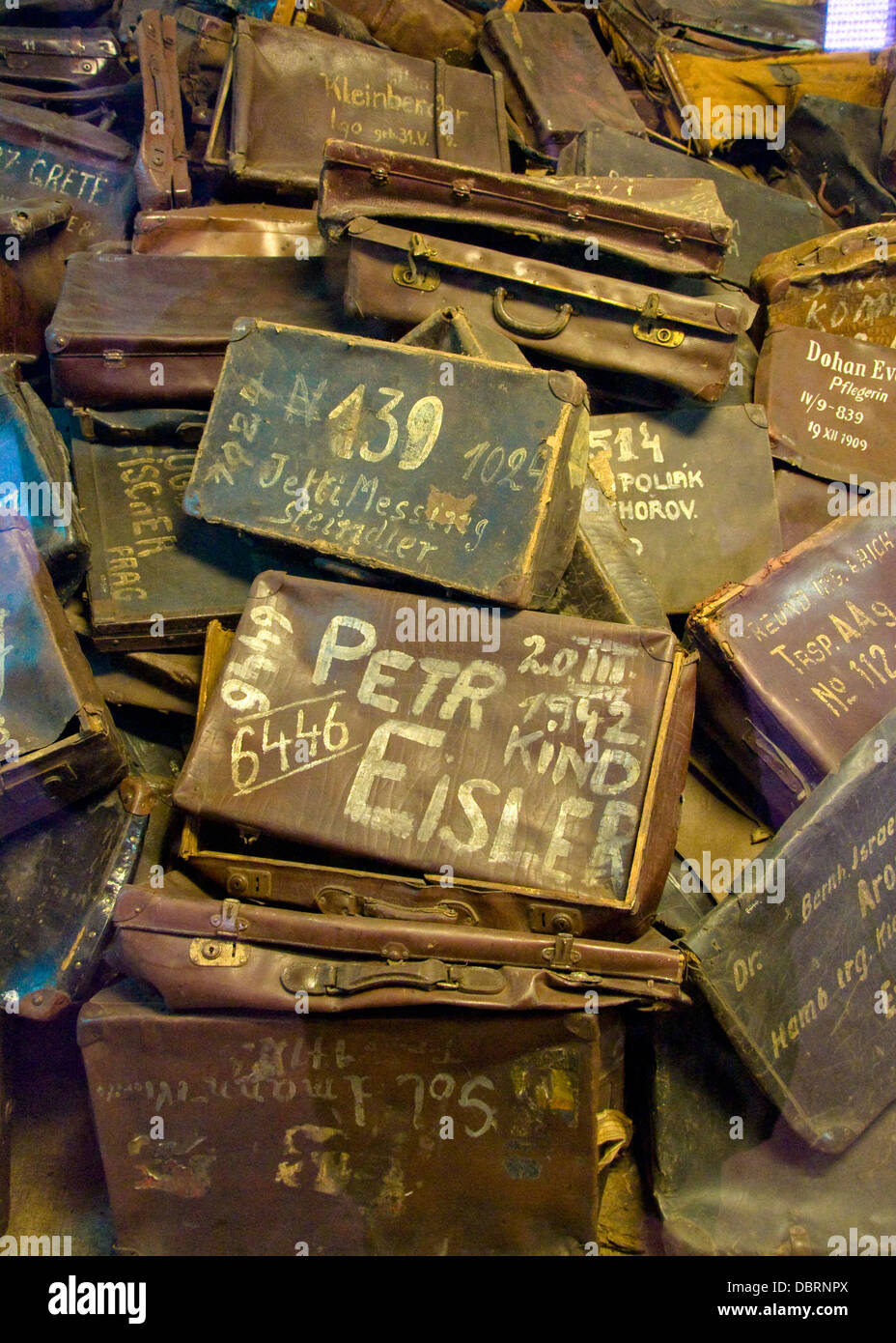 Gepäck, Gedenkstätte Auschwitz-Birkenau, Oswiecim, Polen Stockfoto
