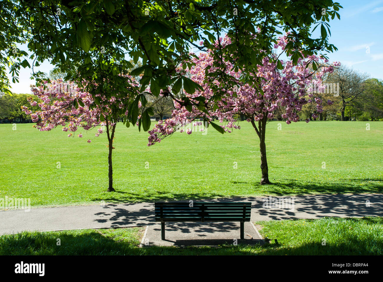 Acton Park, London, Vereinigtes Königreich Stockfoto