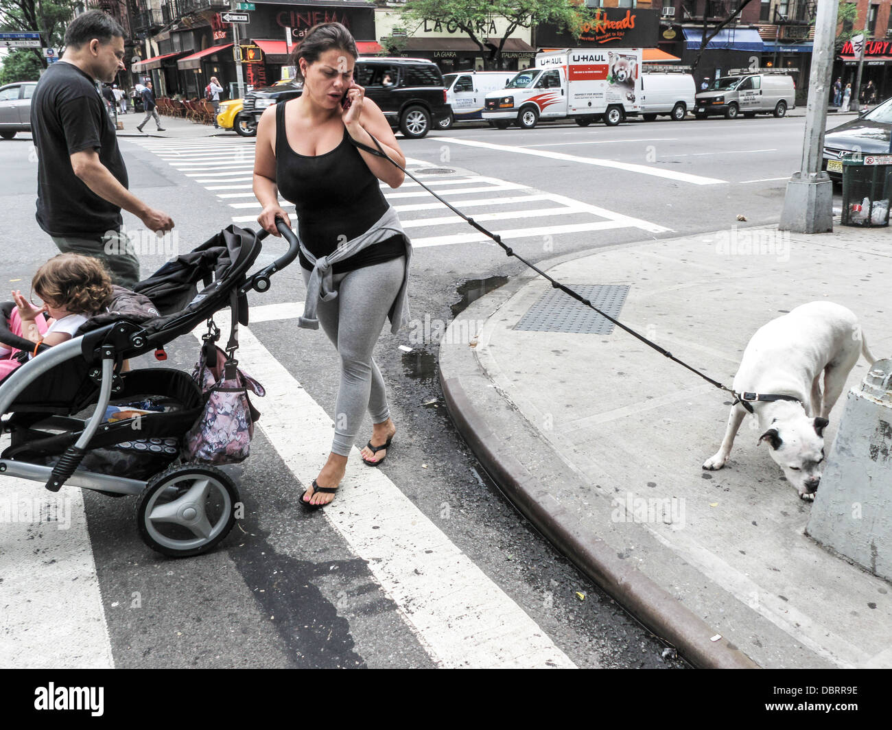 Frau am Handy schieben Kinderwagen & zu Fuß erwischt Hund zwischen widersprüchlichen Anforderungen von Hund & Ampel 3rd Avenue Manhattan Stockfoto