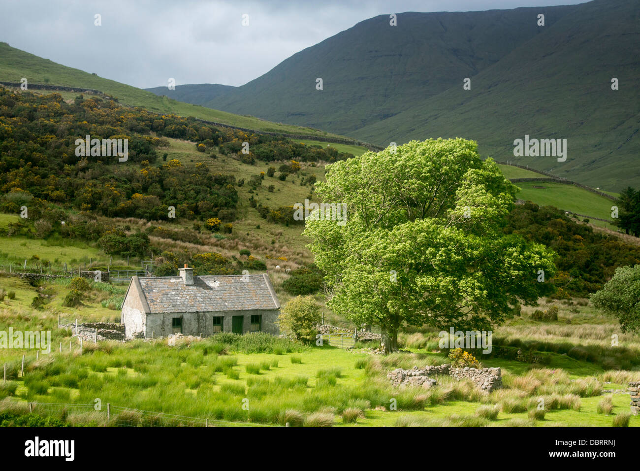 Isolierte Bauernhaus in dramatischen Berglandschaft in der Nähe von Lough Nafooey Joyce Land Connemara County Galway, Irland Stockfoto