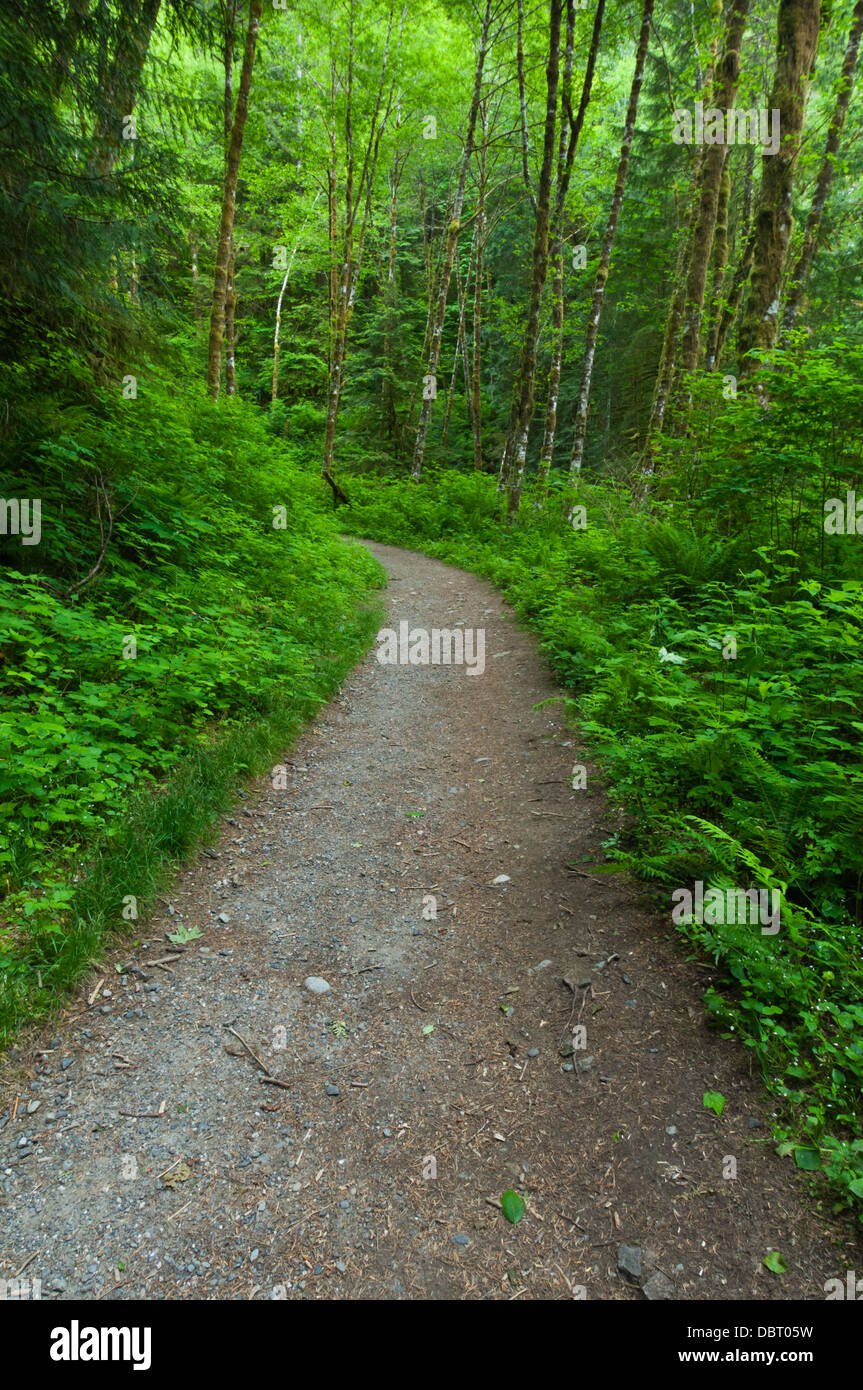 Boulder River Trail, Mount Baker-Snoqualmie National Forest, Washington, USA Stockfoto