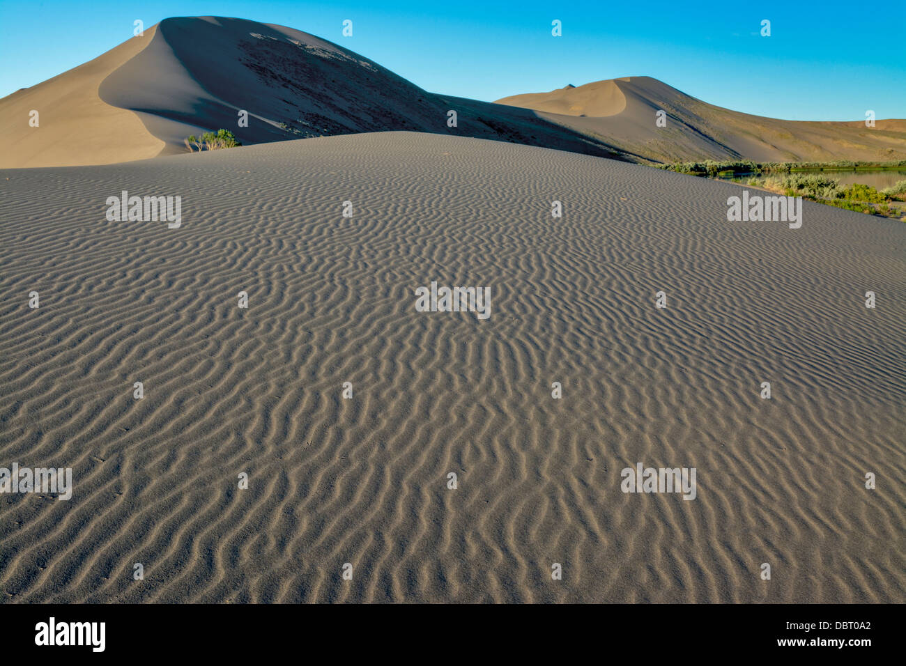 Sand-Texturen von Sand gegen einen wolkenlosen Himmel Stockfoto