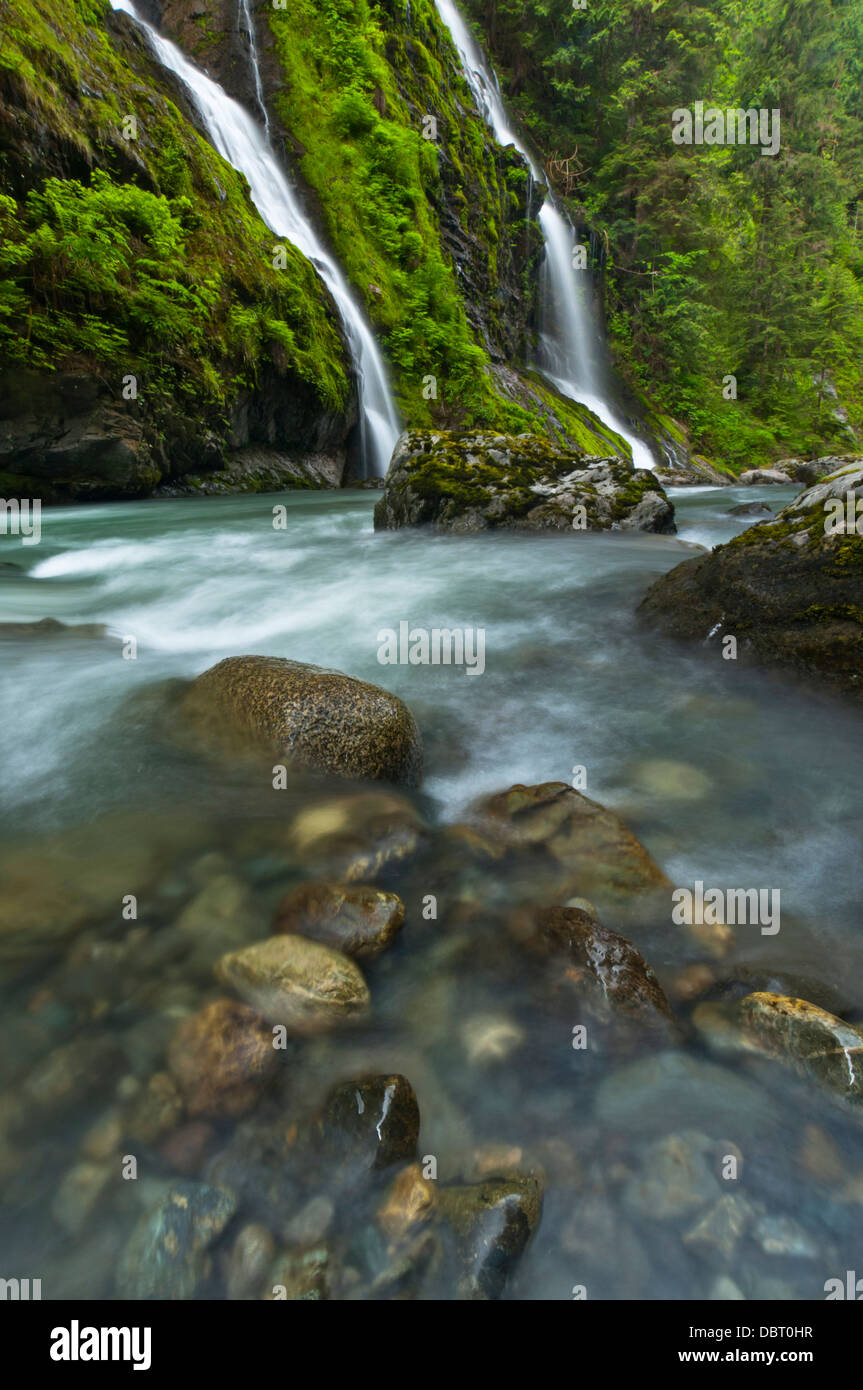 Wasserfall neben der Boulder River, Boulder River Wilderness, Mount Baker-Snoqualmie National Forest, Washington, USA Stockfoto