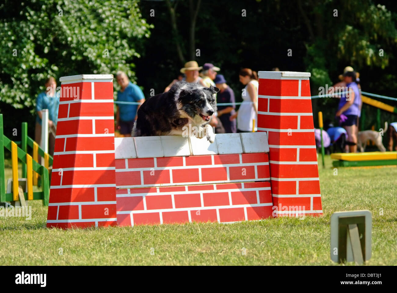 Border-Collie, springen über die Hürde Agility Hundeausstellung Stockfoto