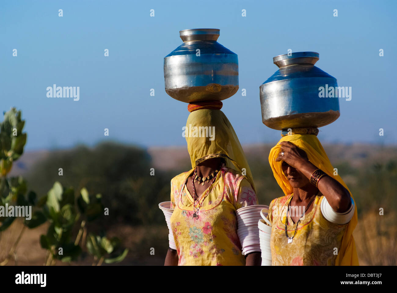 Frauen schleppen einen Wasserkrug auf dem Kopf am 27. Februar 2013 in Rajasthan, Indien, aufgrund des Fehlens von Leitungswasser in der Gegend. Stockfoto