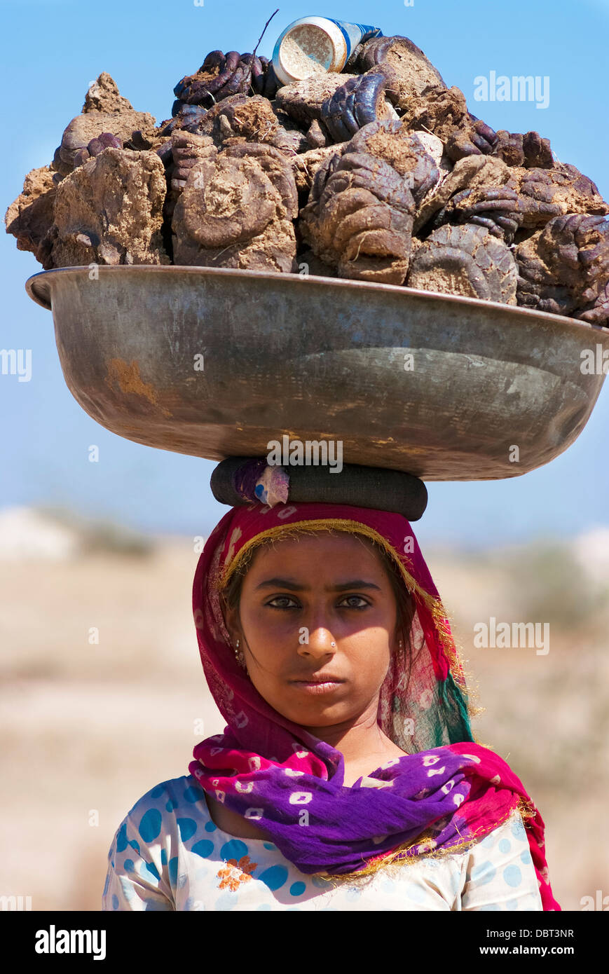 Eine Frau trägt ein Becken voller Kuhmist auf ihren Kopf am 27. Februar 2013 in Rajasthan, Indien. Stockfoto