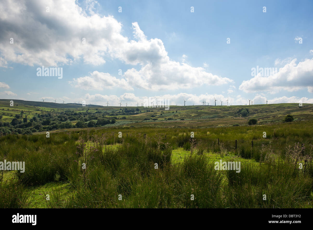 Carno Windpark auf Trannon Moor, Powys. Stockfoto