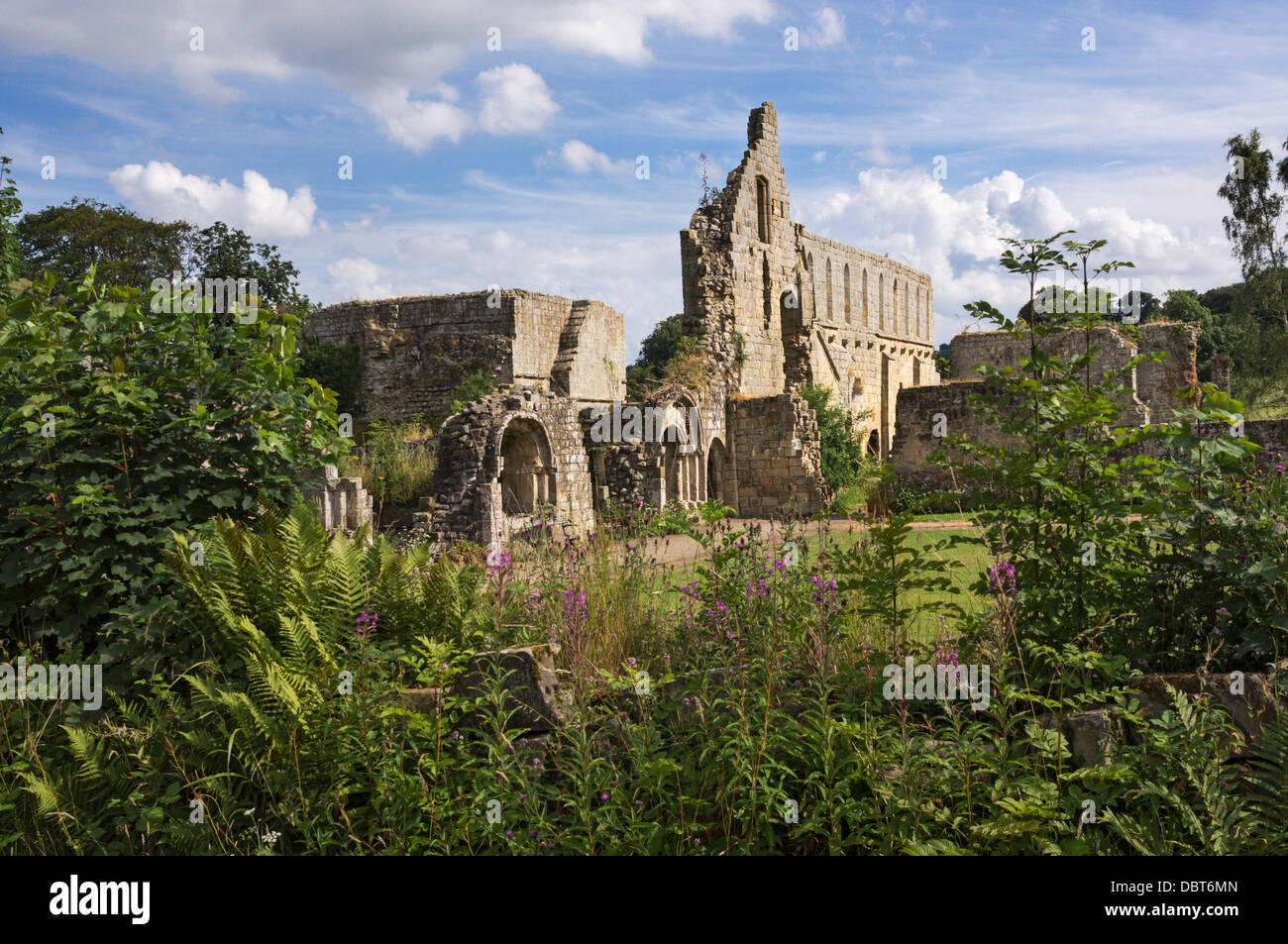 Die Ruinen von Jervaulx Abbey, North Yorkshire Stockfoto