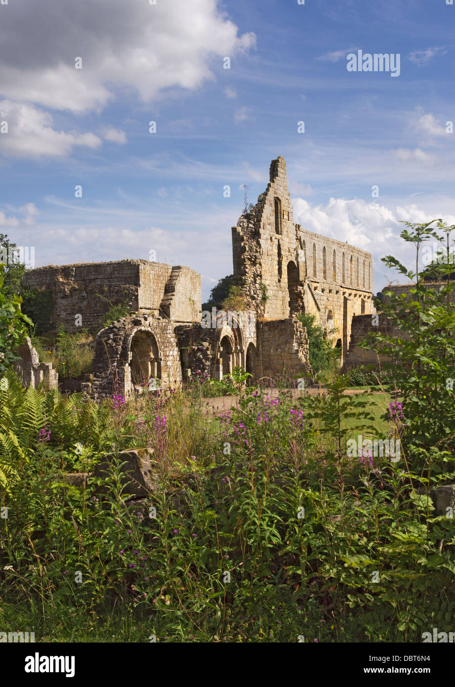 Die Ruinen von Jervaulx Abbey, North Yorkshire Stockfoto