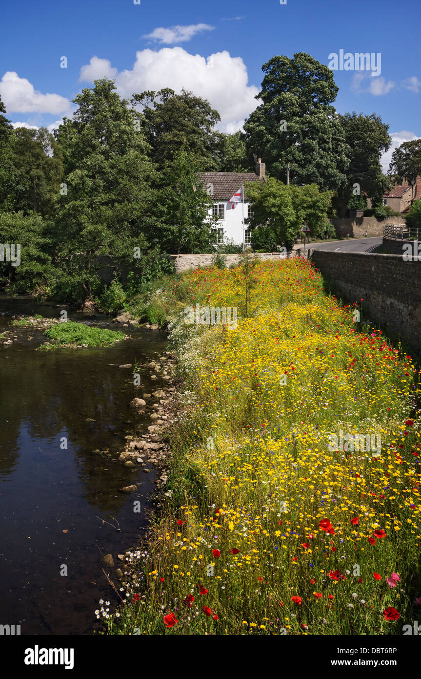 Crakehall, North Yorkshire. Der wilde Wiesenblumen gesät von Gutsbesitzer Ufer eines Flusses. Stockfoto