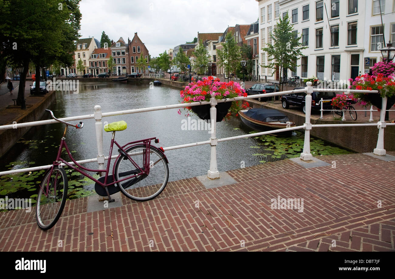Blumen Fahrrad Rapenburg Kanalbrücke Leiden, Niederlande Stockfoto