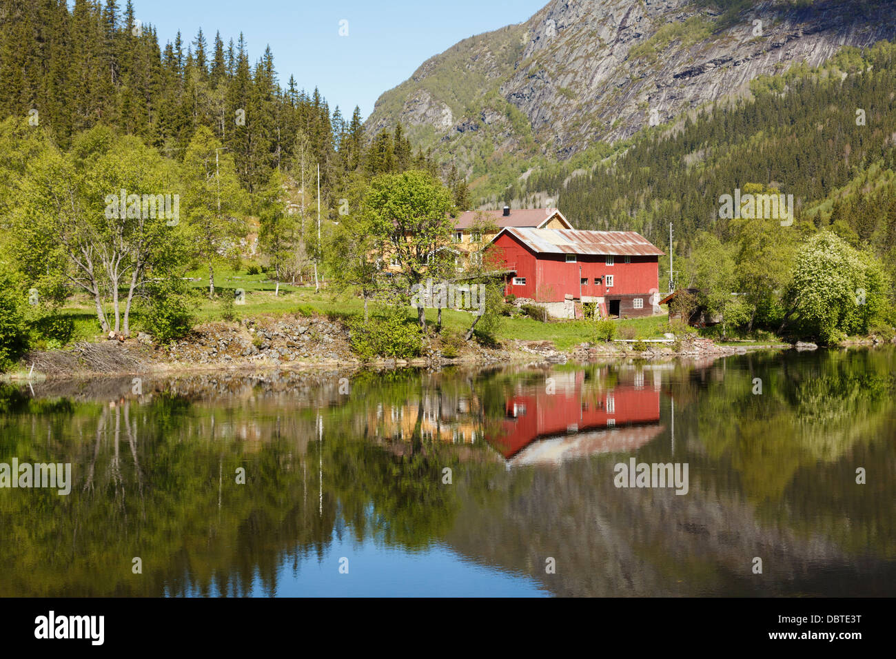 Typische norwegische hölzernen Bauernhaus und rote Scheune spiegelt sich in Smorkleppai River in der Nähe von Grungedal, Telemark, Norwegen, Scandinavia Stockfoto