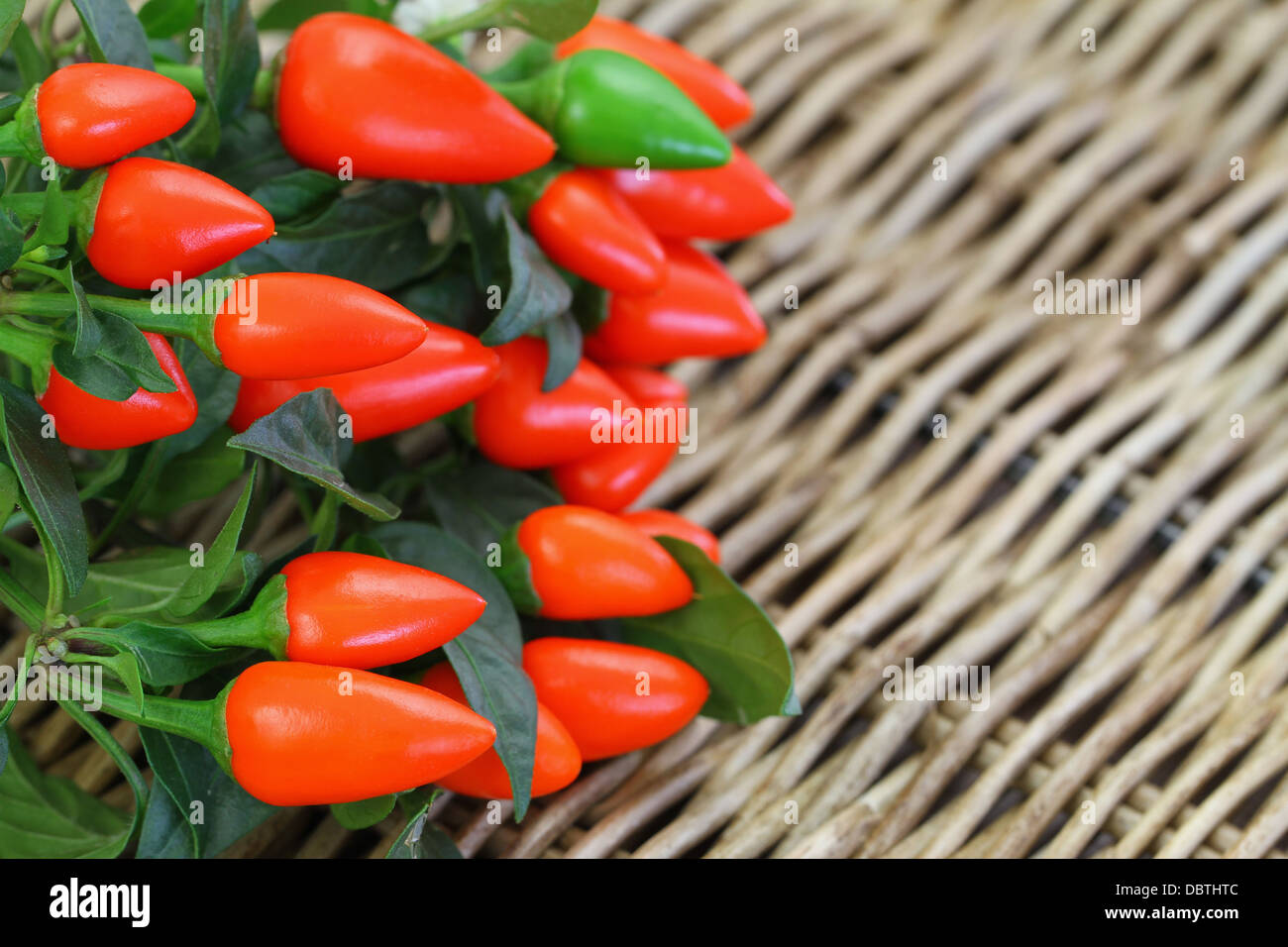 Heiße rote Paprika auf Wicker Oberfläche mit Textfreiraum Stockfoto