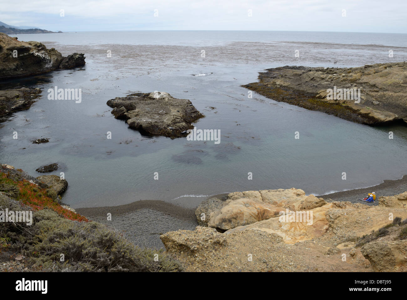 Point Lobos State Natural Reserve, CA mit zwei Besuchern am Strand beobachten Dichtungen Stockfoto