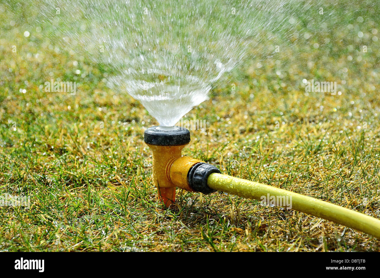 Nahaufnahme von einem Garten Sprinkler, Bewässerung Rasen Stockfoto